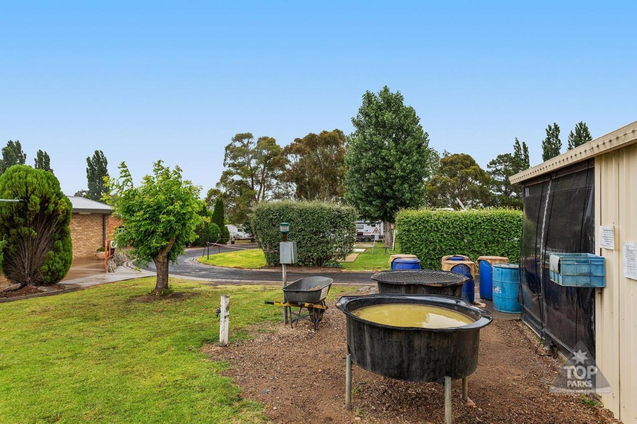 Fossicker Caravan Park Glen Innes Bagian luar foto